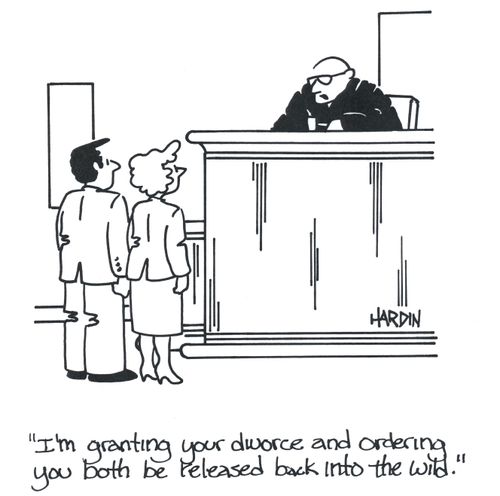 'I'm granting your divorce and ordering you both be released back into the wild.'