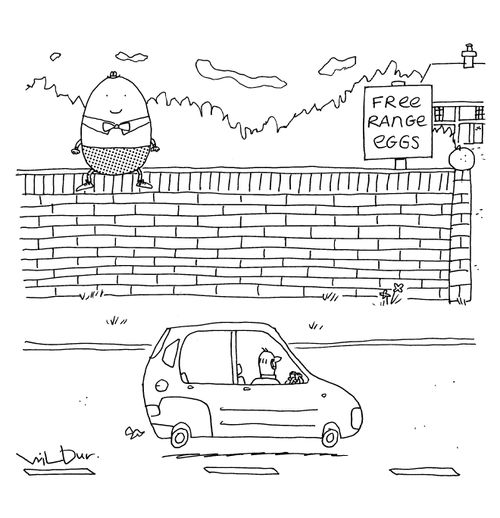 Free Range Eggs.
