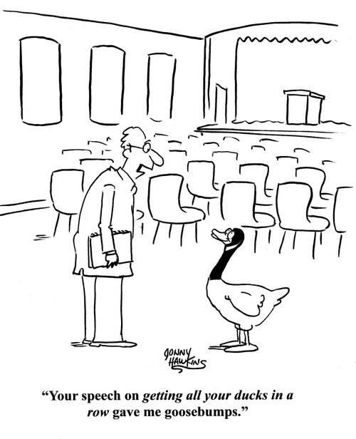 Man to goose: 'Your speech on getting all your ducks in a row gave me goosebumps.'
