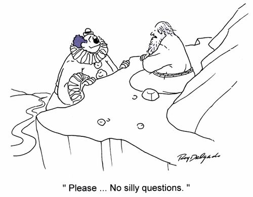'Please... no silly questions.'
