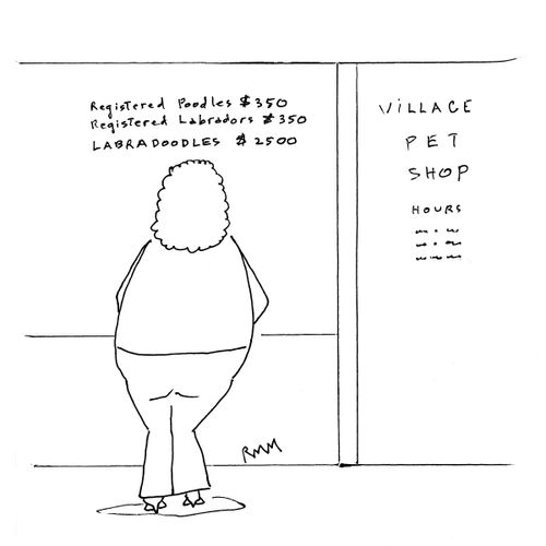 Village Pet Shop.