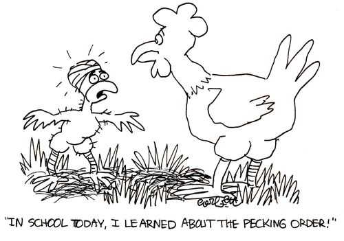 'In school today, I learned about the pecking order!'