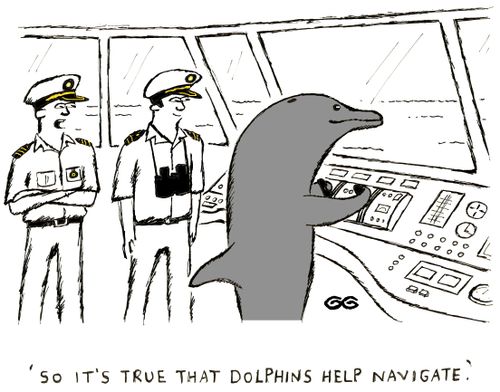 'So it's true that dolphins help navigate.'