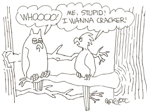'WHOOOO!'   'Me, stupid!  I wanna cracker!'