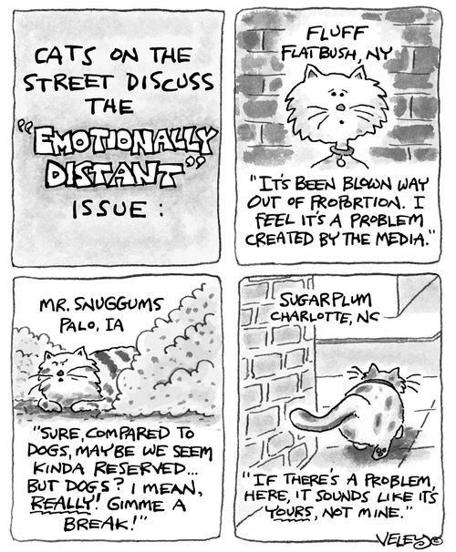 Cats on the street discuss the 'emotionally distant' issue.