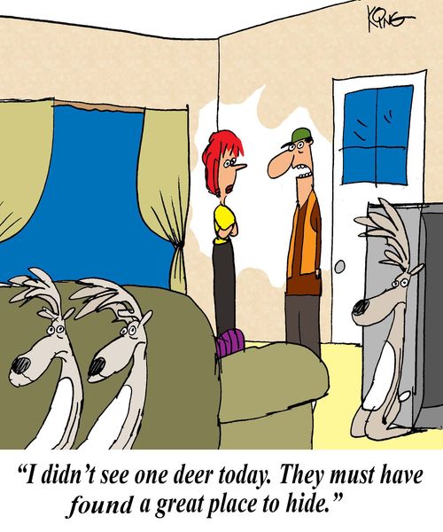 'I didn't see one deer today. They must have found a great place to hide.'
