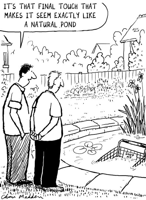 'Its that final touch that makes it seem just like a natural pond.'
