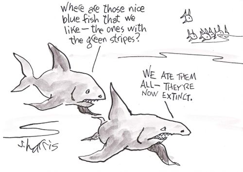 'Where are those nice blue fish that we like - the ones with the blue stripes?' -  'We ate them all -  they're now extinct.'