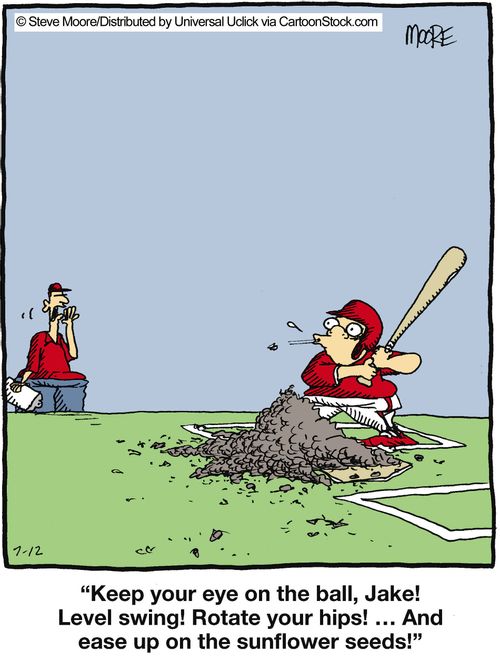 'Keep your eye on the ball, Jake! Level swing! Rotate your hips! ... and ease up on the sunflower seeds!'