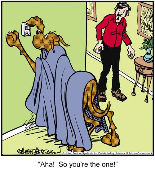 'Aha! So you're the one!'