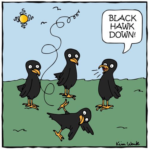 'BLACK HAWK DOWN!'