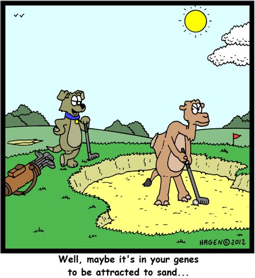 'Well, maybe it's in your genes to be attracted to sand...'
