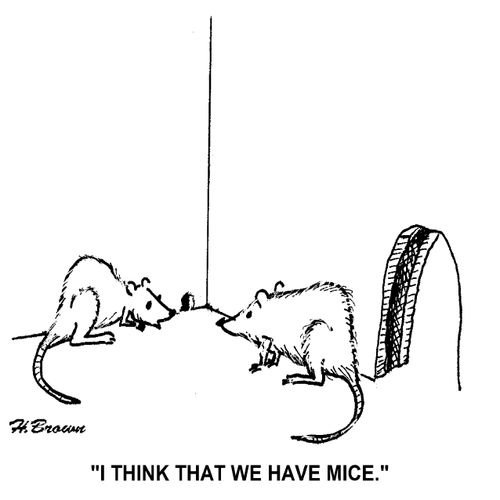 Rats with mice.