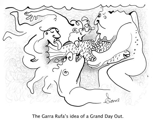 The Garra Rufa's idea of a Grand Day Out.