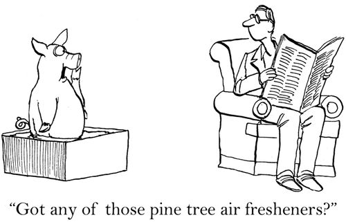 'Got any of those pine tree air fresheners?'