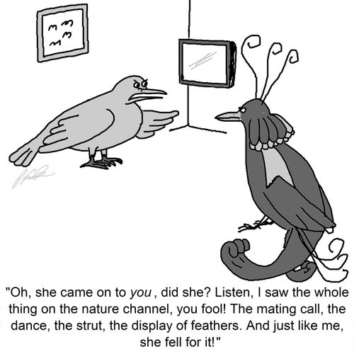 'Oh, she came on to you, did she? Listen, I saw the whole thing on the nature channel, you fool! The mating call, the dance, the strut, the display of feathers. And just like me, she fell for it!'