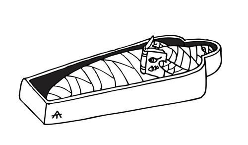 Mummy reading a book in his sarcophagus.