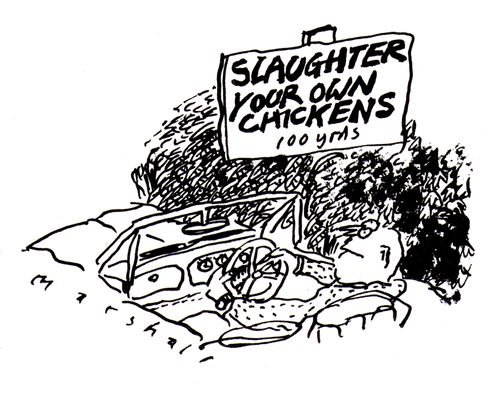 Slaughter your own chickens - 100 yards.