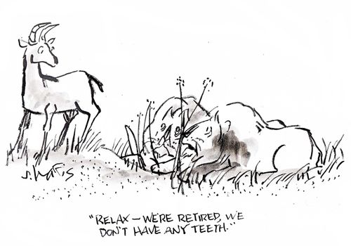 'Relax - we're retired.  We don't have any teeth.'