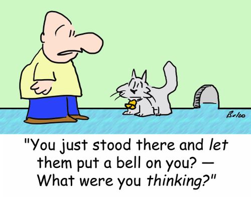 'You just stood there and let them put a bell on you? -- What were you THINKING?'