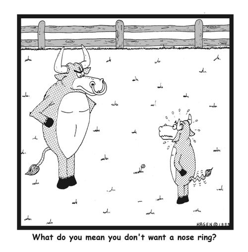 What do you mean you don't want a nose ring?