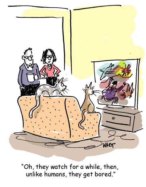 They watch for a while, then, unlike humans, they get bored.