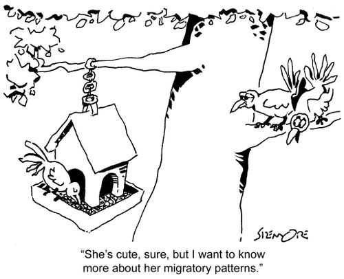 'She's cute, sure, but I want to know more about her migratory patterns.'