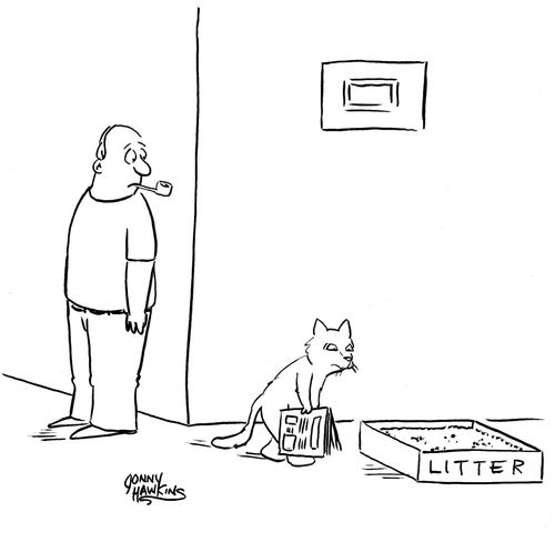 Cat going to litter box with newspaper to read.