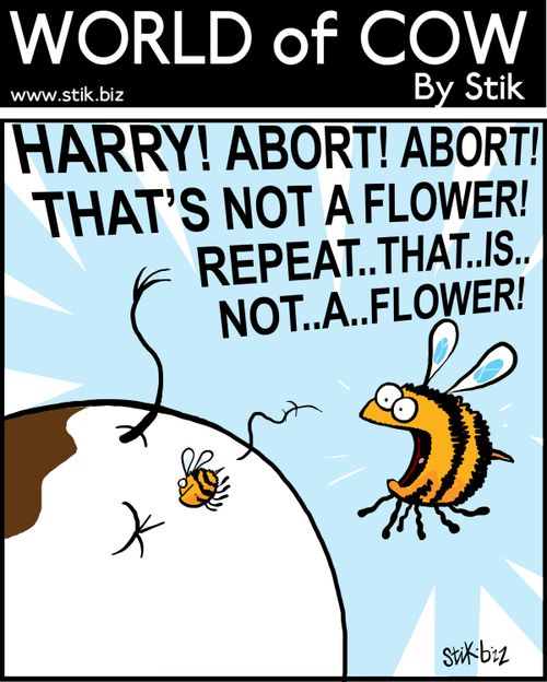 Harry! Abort! Abort! That's not a flower! Repeat...that...is...not...a...flower!