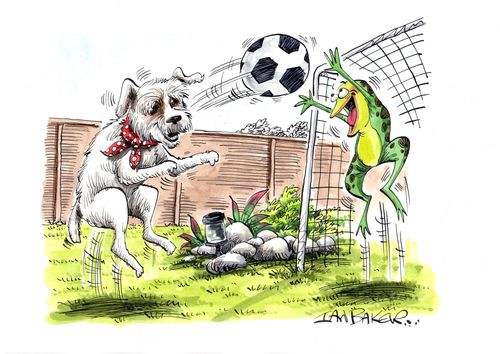Dog and frog playing football.