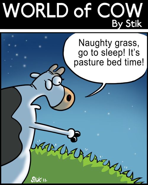 Naughty grass, go to sleep! It's pasture bed time!