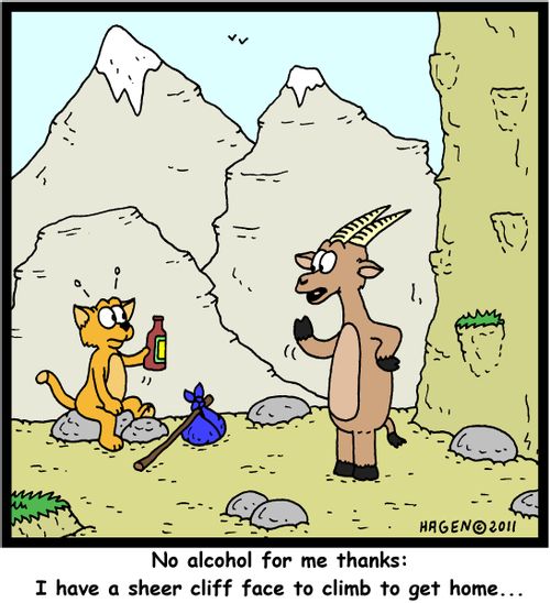 'No alcohol for me thanks: I have a sheer cliff face to climb to get home...'