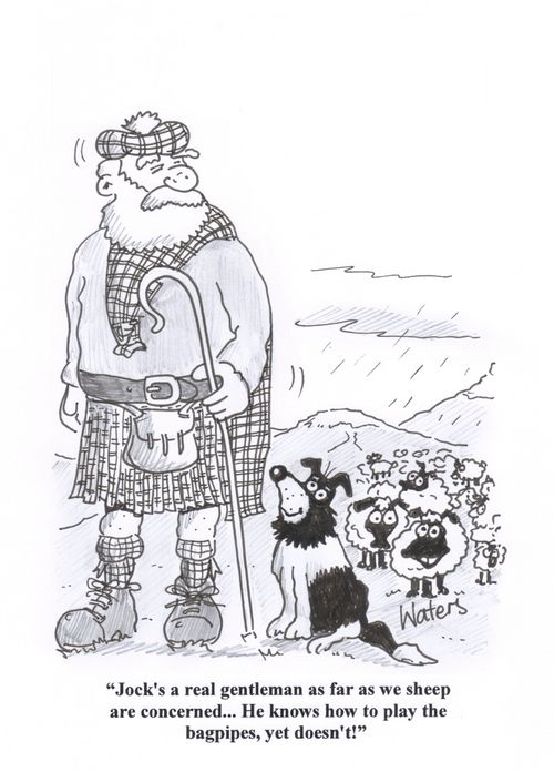 'Jock's a real gentleman as far as we sheep are concerned... He knows how to play the bagpipes, yet doesn't!'