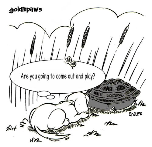 Goldiepaws: Are you going to come out and play?
