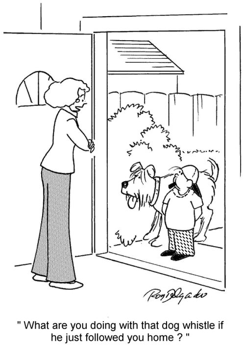 'What are you doing with that dog whistle if he just followed you home?'