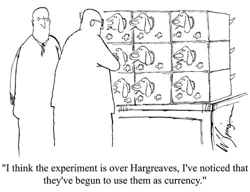 'I think the experiment is over Hargreaves, I've noticed that they've begun to use them as currency.'