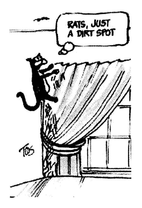 'Rats, just a dirt spot.'
