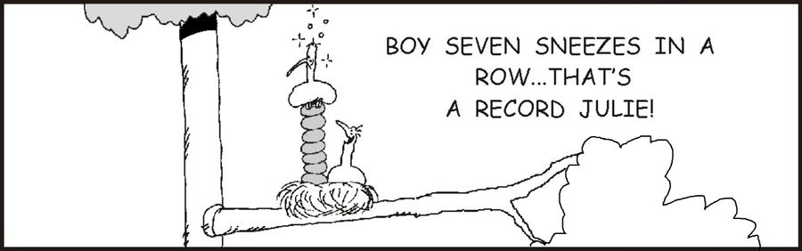 'Boy, seven sneezes in a row, that's a record, Julie'