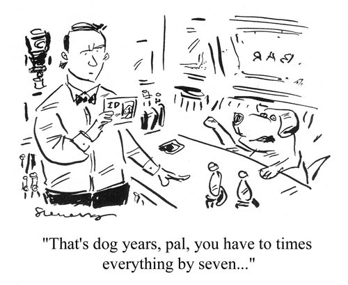 'That's dog years, pal, you have to times everything by seven...'
