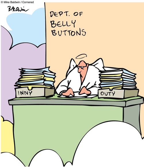 'Inny' and 'Outy' trays in the Dept. of Belly Buttons