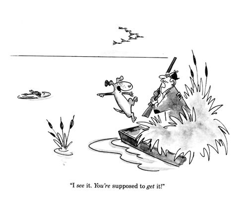 'I see it.  You're supposed to get it!'