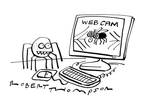 Spider watching his web cam.
