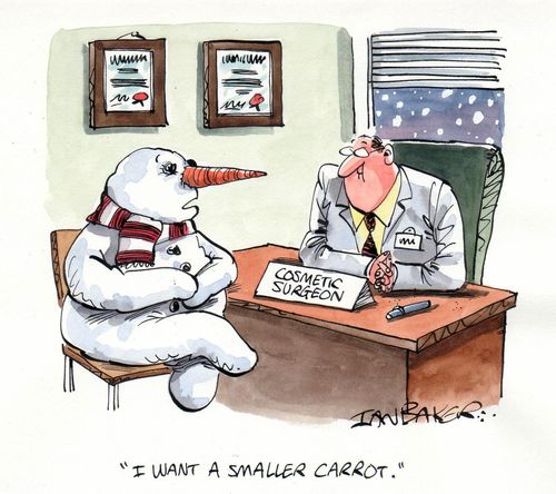 Snowman at cosmetic surgeon: 'I want a smaller carrot.'