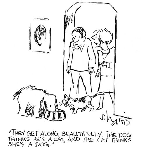 'They get along beautifully.  The dog thinks he's a cat, and the cat thinks she's a dog.'