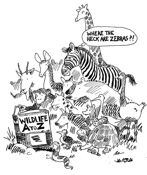 Wildlife A-Z: 'Where the heck are zebras?'