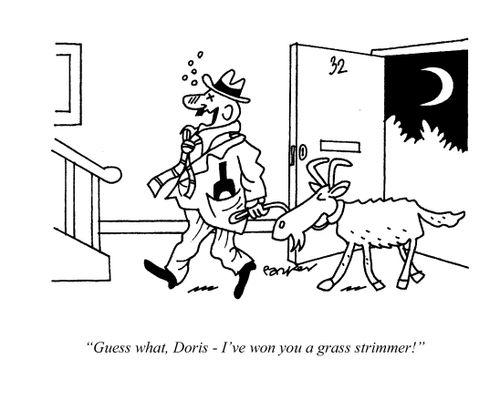 'Guess what,Doris- I've won you a grass strimmer!'