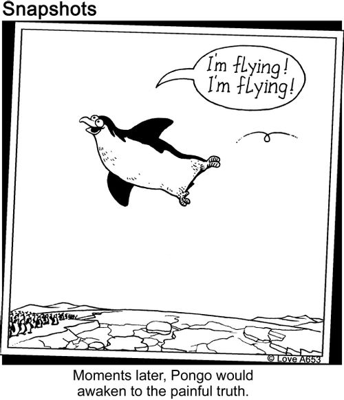 "I'm flying! I'm flying!"   Moments later, Pongo would awaken to the painful truth.