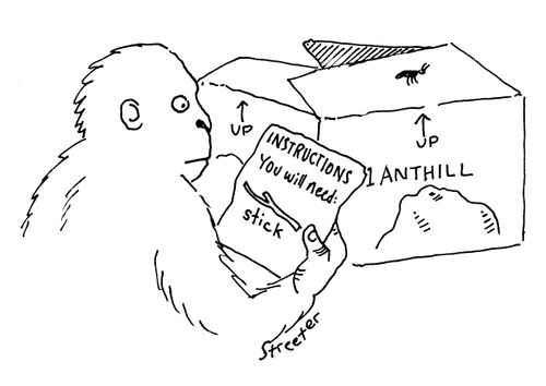 Chimp with mail-order anthill.