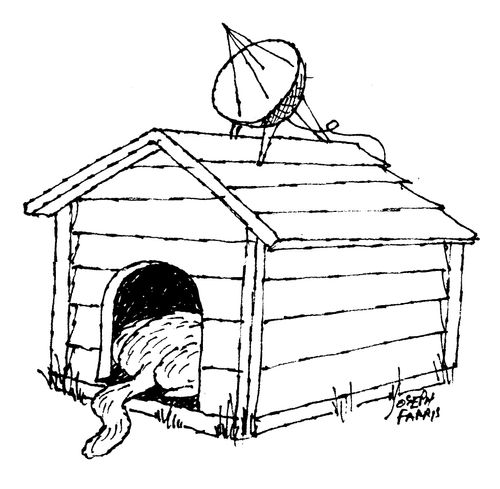 Dog Watching TV In His Kennel.