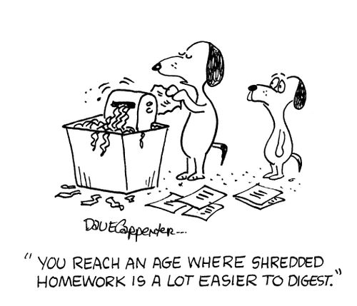 'You reach an age where shredded homework is a lot easier to digest.'